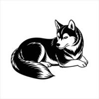 Siberian Husky Lying Down vector