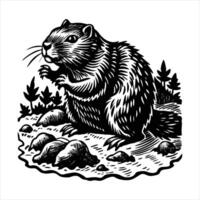 Groundhog Definition Meaning vector