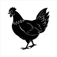 Chicken scratch Definition vector