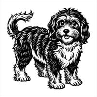 Cavapoo standing hi-res stock vector