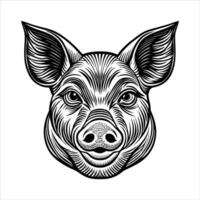 Pig Face Line Drawing. vector