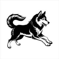 Alaskan Malamute Running vector