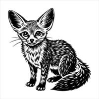 Fennec Fox Facts vector
