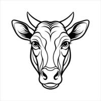 Dairy Shorthorn Association vector
