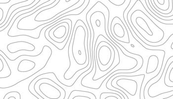 Geometric Abstract Black and White Contour Map Texture vector
