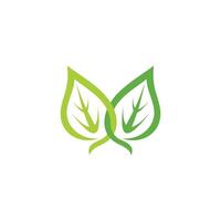 linked colorful curves smooth green leaf vector