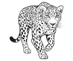 Walk Leopard Silhouette vector