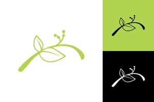 Leaf twig branch background leaves tree nature design isolated vector