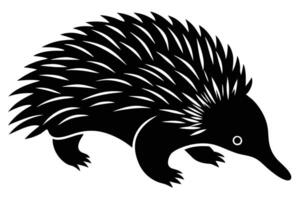 Enhancing Designs with Striking Echidna Silhouettes vector