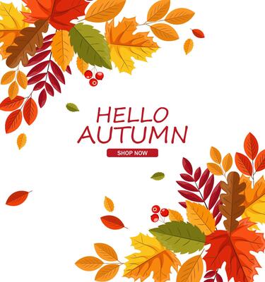 Hello autumn, fall leaves flat, colorful leaves isolated set, autumn elements, fall banner, cartoon