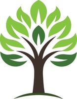 Tree with green leaf illustration vector