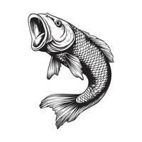 Common Carp Fish Sketch Clipart vector