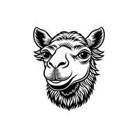 Camel Silhouette Art for Project vector