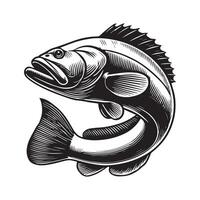 black and white Goliath Grouper Fish Clipart Image vector
