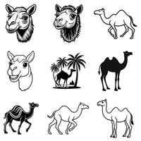Charming Camel Faces and Desert Scenes Bundle Illustrated Nomadic Journey Set vector