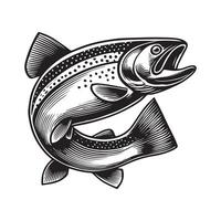Atlantic salmon fish illustration, Sea fish different poses Design vector