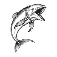 Sleek Mahi Mahi Fish Clipart Illustration Design vector