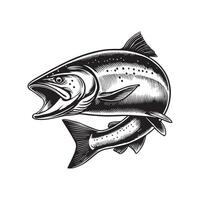 Atlantic salmon fish Design vector