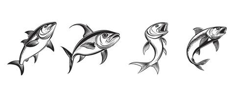 Set of Vibrant Yellowtail Fish Illustration Clipart Graphics vector