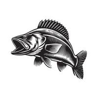 Vibrant Walleye Fish Illustration Clipart Image vector