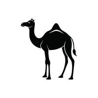 Camel Silhouette Sketch Design vector