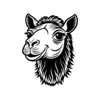 Iconic Camel Face Symbol of the Sands in Fine Line Art vector
