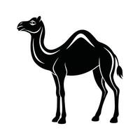 Unique Camel Silhouette Drawing vector