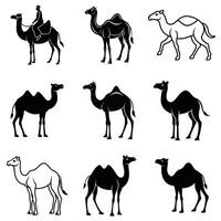 Elegant Camel Silhouette Collection vector