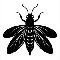 Firefly silhouette on white background vector