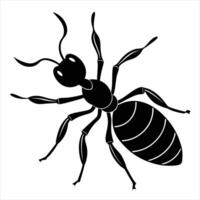Leafcutter Ant silhouette illustration on white background vector