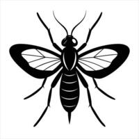 Sandfly Silhouette with white background vector