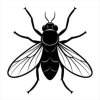 Housefly silhouette illustration on white background vector