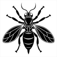 Gall Wasp Silhouette illustration with white background vector