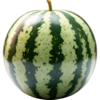 Watermelon with Dark Green Rind png