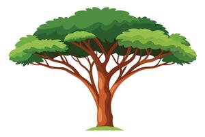 Trees design and illustration vector