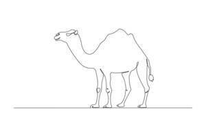 Hand-drawn camel line art drawing. Camel outline illustration. vector