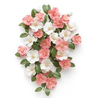 Vibrant camellia flowers in pink and white, beautifully arranged with green leaves, create stunning natural display photo