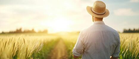 farmer wearing straw hat stands in golden field at sunset, reflecting on his crops photo