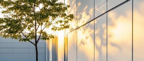 tree casts beautiful shadows on modern corporate building at sunset, creating serene atmosphere photo