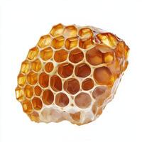Honeycomb segment with intricate hexagonal patterns and golden hues photo