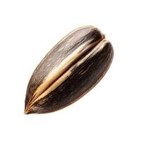 close up view of sunflower seed showcasing its unique texture and color. This macro perspective highlights intricate details photo