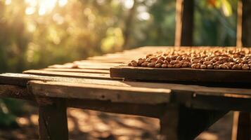Rustic drying racks filled with cocoa beans in sunlight, showcasing nature beauty photo
