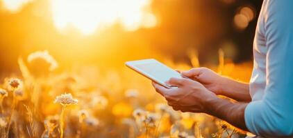Person using tablet in field of flowers during sunset, enjoying nature photo