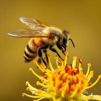 A bee collecting nectar from a vibrant flower in a close-up garden setting photo