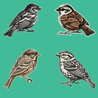 Flying Different types of bird collections vector