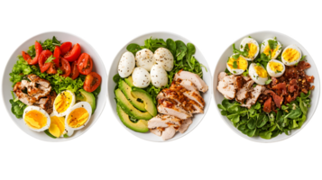 Three Variations of Chicken Salad with Eggs and Avocado png