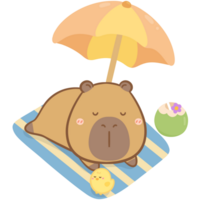 Sleeping Capybara on the beach png