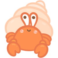 Orange hermit crab png
