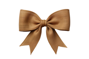 Jute twine string tied in a bow isolated on transparent background png