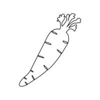 Continuous one line drawing of carrot abstract outline art illustration vector